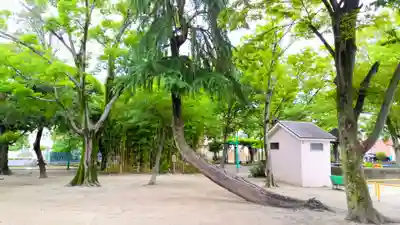 八幡社（烏森八幡社）の自然