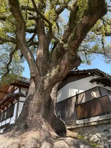 栖光院(愛知県)