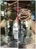 熊野神社の狛犬