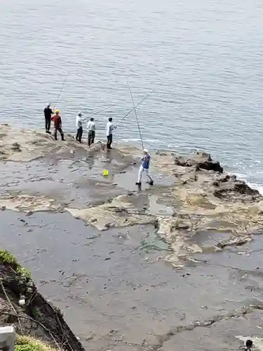 江島神社の自然