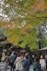 野宮神社(京都府)