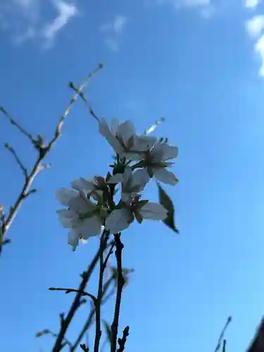 鈿女神社(長野県)