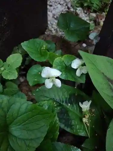 於三稲荷神社の庭園