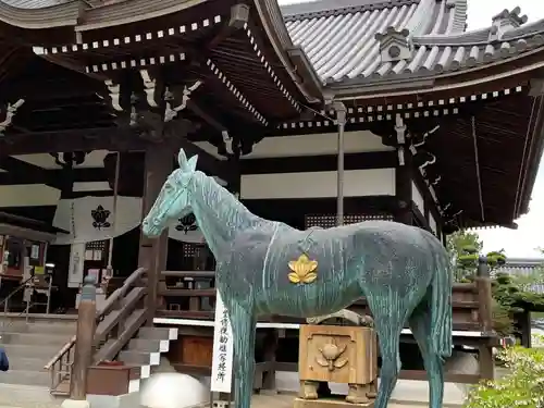 橘寺の狛犬
