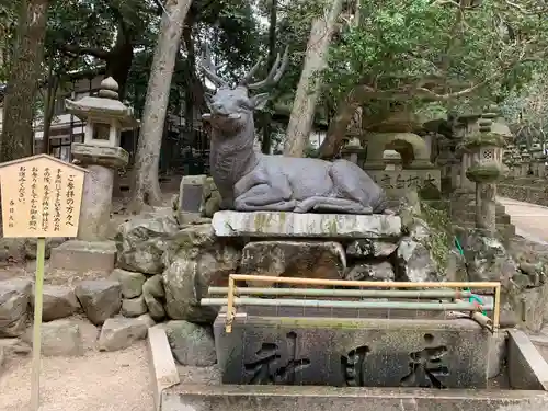 春日大社の狛犬