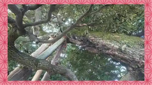 九重神社(埼玉県)