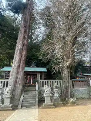 賀茂神社(和歌山県)