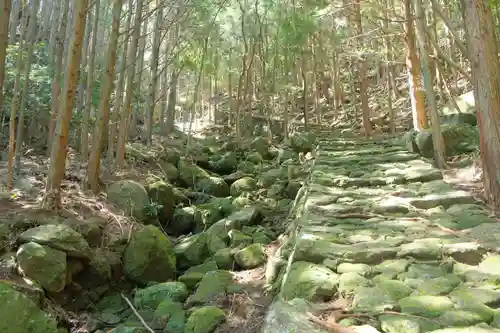 花窟神社の周辺