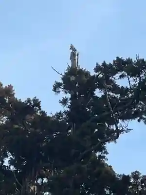 村山浅間神社(静岡県)