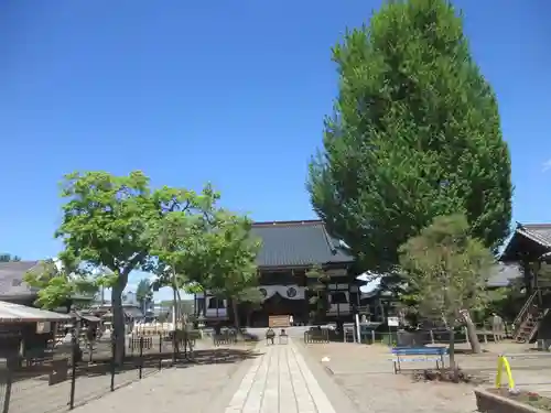 龍光寺の建物その他