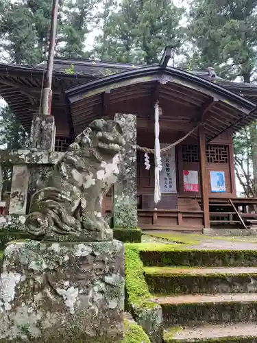 日枝神社の狛犬