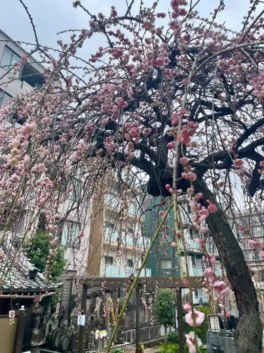 法輪寺の{uncategorized: "未分類", other: "その他", undefined: "問題あり", building: "その他建物", grave: "お墓", sacred_gate: "鳥居", guardian: "狛犬", statue: "像", buddha: "仏像", history: "歴史", nature: "自然", garden: "庭園", animal: "動物", pagoda: "塔", temizu: "手水舎", mountain_gate: "山門・神門", sanctuary: "本殿・本堂", subordinate: "末社・摂社", art: "芸術", scenery: "景色", jizo: "地蔵", ema: "絵馬", goshuin: "御朱印", omikuji: "おみくじ", items: "授与品その他", amulet: "お守り", goshuincho: "御朱印帳", eats: "食事", festival: "お祭り", votive_dance: "神楽", shichigosan: "七五三参", wedding: "結婚式", experience: "体験その他", initially: "初詣", around: "周辺", anti_infection: "感染症対策"}