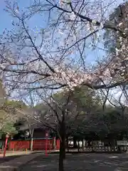 村富神社(神奈川県)