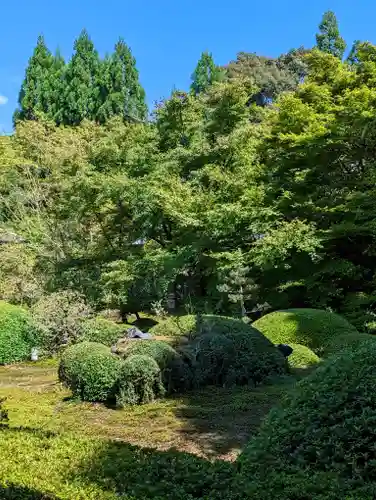 雲龍院(京都府)