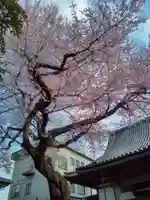 道仁寺(宮城県)