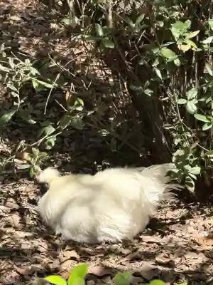 熱田神宮の{uncategorized: "未分類", other: "その他", undefined: "問題あり", building: "その他建物", grave: "お墓", sacred_gate: "鳥居", guardian: "狛犬", statue: "像", buddha: "仏像", history: "歴史", nature: "自然", garden: "庭園", animal: "動物", pagoda: "塔", temizu: "手水舎", mountain_gate: "山門・神門", sanctuary: "本殿・本堂", subordinate: "末社・摂社", art: "芸術", scenery: "景色", jizo: "地蔵", ema: "絵馬", goshuin: "御朱印", omikuji: "おみくじ", items: "授与品その他", amulet: "お守り", goshuincho: "御朱印帳", eats: "食事", festival: "お祭り", votive_dance: "神楽", shichigosan: "七五三参", wedding: "結婚式", experience: "体験その他", initially: "初詣", around: "周辺", anti_infection: "感染症対策"}