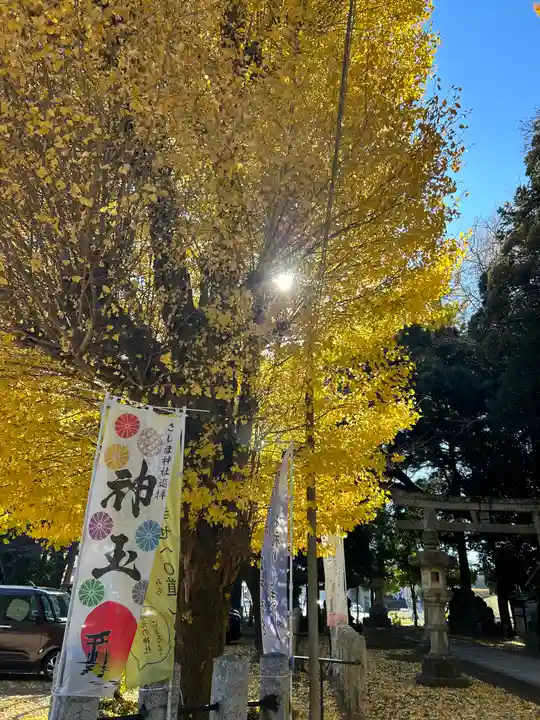 雀神社(茨城県)