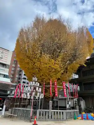 櫛田神社の自然