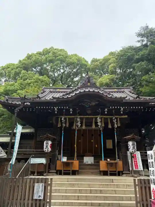 代々木八幡宮の{uncategorized: "未分類", other: "その他", undefined: "問題あり", building: "その他建物", grave: "お墓", sacred_gate: "鳥居", guardian: "狛犬", statue: "像", buddha: "仏像", history: "歴史", nature: "自然", garden: "庭園", animal: "動物", pagoda: "塔", temizu: "手水舎", mountain_gate: "山門・神門", sanctuary: "本殿・本堂", subordinate: "末社・摂社", art: "芸術", scenery: "景色", jizo: "地蔵", ema: "絵馬", goshuin: "御朱印", omikuji: "おみくじ", items: "授与品その他", amulet: "お守り", goshuincho: "御朱印帳", eats: "食事", festival: "お祭り", votive_dance: "神楽", shichigosan: "七五三参", wedding: "結婚式", experience: "体験その他", initially: "初詣", around: "周辺", anti_infection: "感染症対策"}