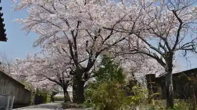 上品蓮台寺のその他建物