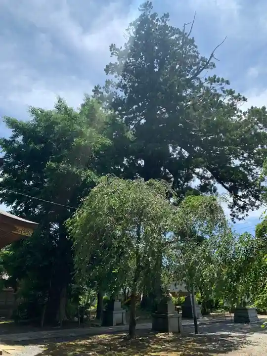 松崎神社(千葉県)