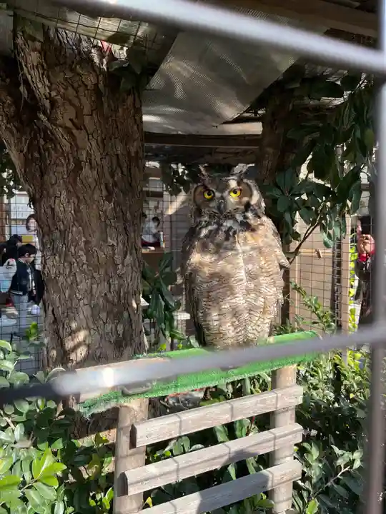宮地嶽神社(福岡県)