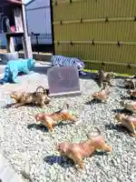 佐賀虎神社(佐賀県)