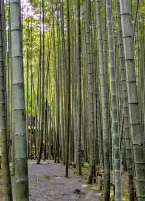 圓光寺(京都府)
