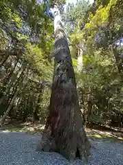 瀧原宮(皇大神宮別宮)(三重県)