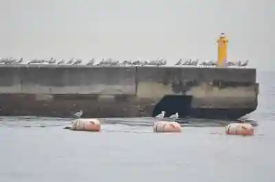海神社(兵庫県)