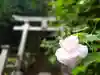 杉本寺の鳥居