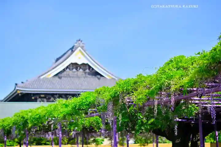 三学院(埼玉県)