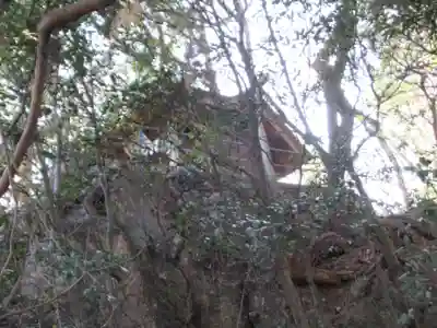 巌丿金毘羅神社（琴平神社）(東京都)