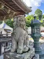 柳谷観音 楊谷寺(京都府)