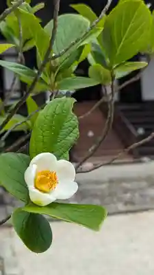 真正極楽寺(真如堂)(京都府)
