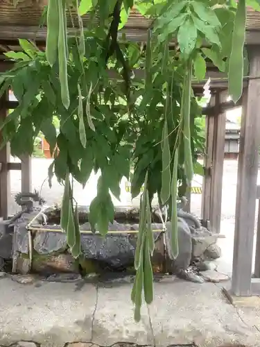 田縣神社の自然
