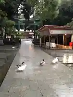 平塚八幡宮(神奈川県)