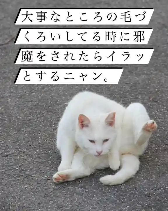 専念寺(大阪府)