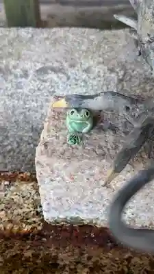 文子天満宮の狛犬