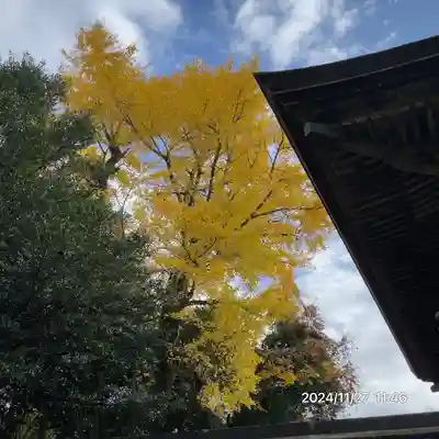 中山神社(岡山県)
