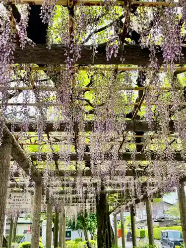 日吉神社(東京都)