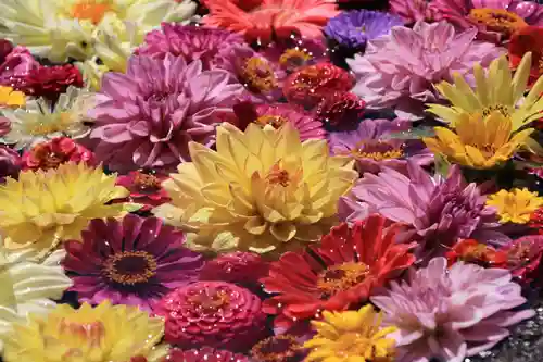 大鏑神社の手水舎