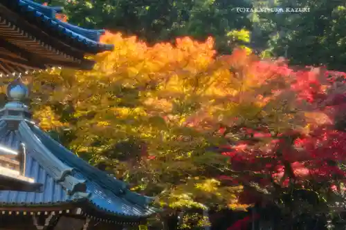 最乗寺（道了尊）(神奈川県)