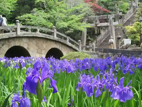 菅原神社の自然