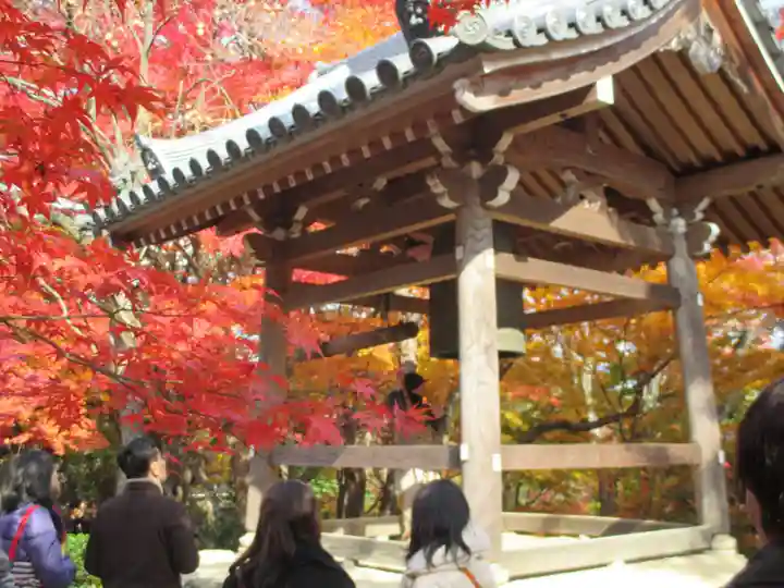 常寂光寺(京都府)