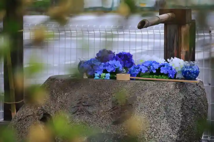 阿邪訶根神社の手水舎