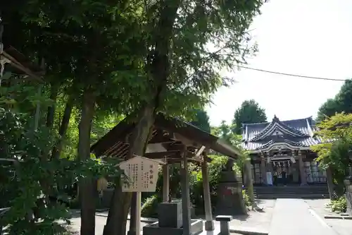 若宮八幡宮 の手水舎