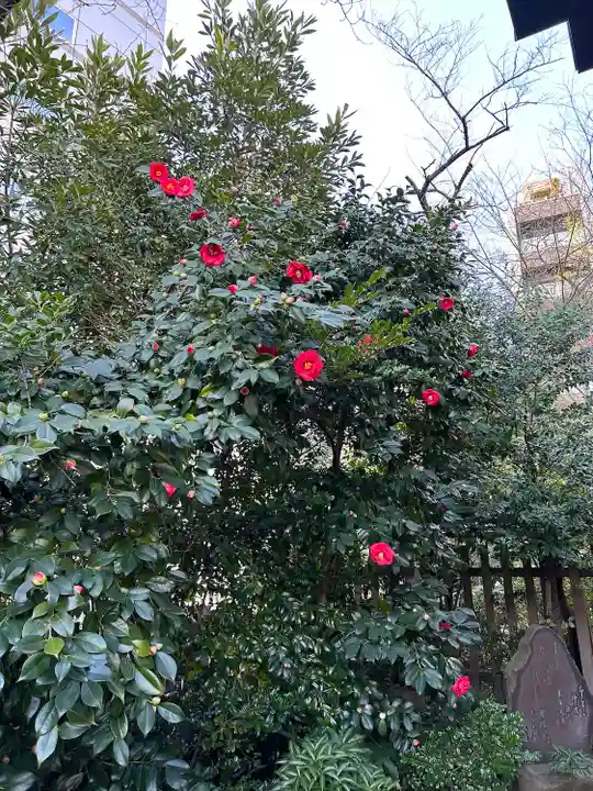 芝大神宮の自然
