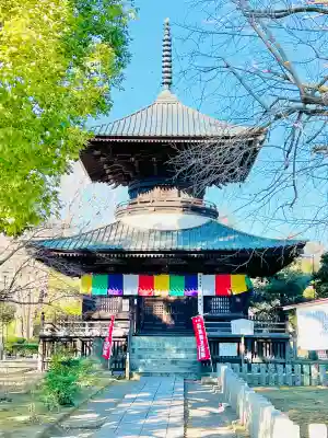 鑁阿寺の{uncategorized: "未分類", other: "その他", undefined: "問題あり", building: "その他建物", grave: "お墓", sacred_gate: "鳥居", guardian: "狛犬", statue: "像", buddha: "仏像", history: "歴史", nature: "自然", garden: "庭園", animal: "動物", pagoda: "塔", temizu: "手水舎", mountain_gate: "山門・神門", sanctuary: "本殿・本堂", subordinate: "末社・摂社", art: "芸術", scenery: "景色", jizo: "地蔵", ema: "絵馬", goshuin: "御朱印", omikuji: "おみくじ", items: "授与品その他", amulet: "お守り", goshuincho: "御朱印帳", eats: "食事", festival: "お祭り", votive_dance: "神楽", shichigosan: "七五三参", wedding: "結婚式", experience: "体験その他", initially: "初詣", around: "周辺", anti_infection: "感染症対策"}