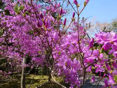 伊勢神宮内宮（皇大神宮）の自然